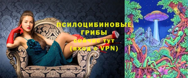 гашик Лабытнанги