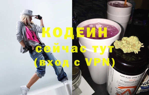 гашик Лабытнанги