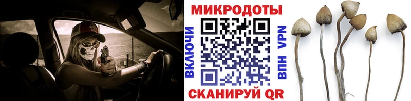 Галлюциногенные грибы прущие грибы  Лянтор 