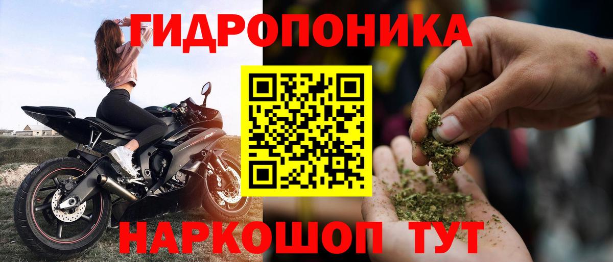 Бошки марихуана Amnesia Лянтор